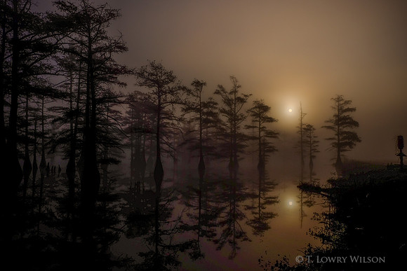 A sunrise in a Mississippi Delta swamp near Clarksdale, Mississippi