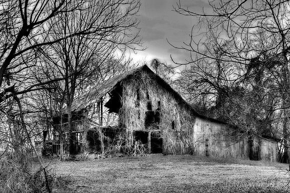 Kudzu Barn