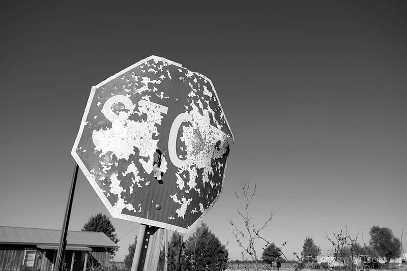 stop sign shotgun bullet mississippi delta
