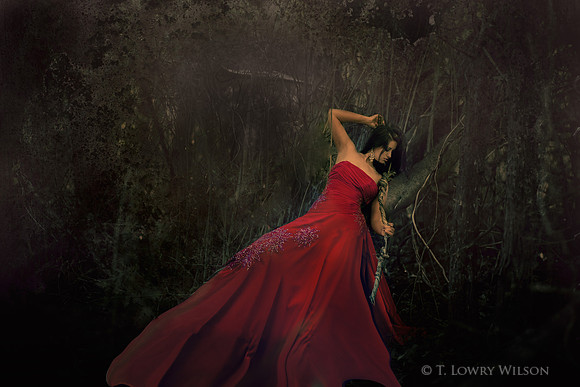 Lost In the Woods