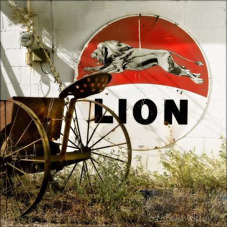 The Lion and the Chariot